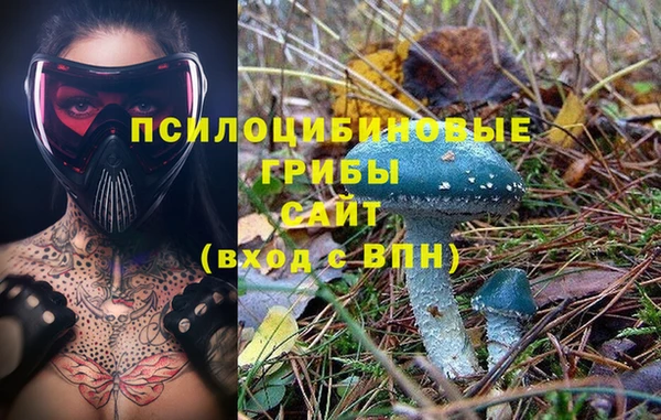 синтетический гашиш Алексеевка