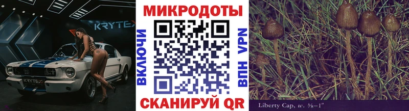 Псилоцибиновые грибы Psilocybine cubensis  закладки  Новая Ляля 